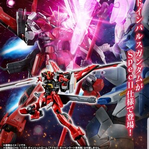 新品未開封 RG 1/144 ソードインパルスガンダムSpecII
