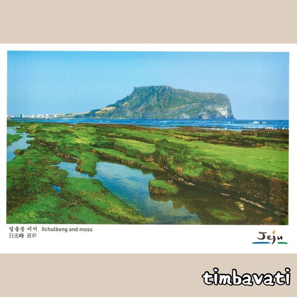 ☆新品☆【韓国】ポストカード * チェジュ 済州島 *249*