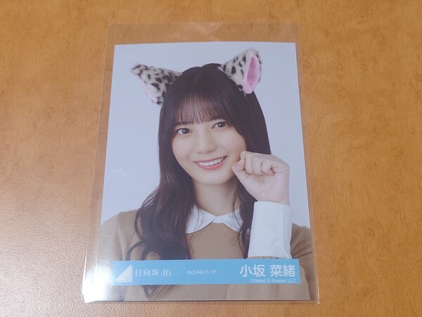 日向坂46 小坂菜緒 生写真 ねこみみコーデ ヨリ
