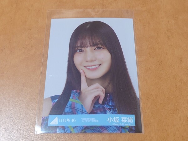 日向坂46 小坂菜緒 生写真 「3回目のひな誕祭」リメイクモザイク柄衣装 ヨリ