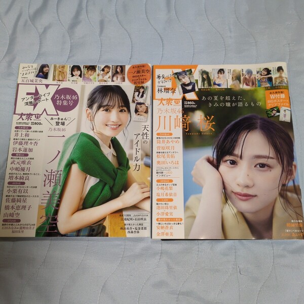 【EX大衆 2冊 付録有り】一ノ瀬美空 川﨑桜 乃木坂46 BIGポスター クリアファイル 井上和 五百城茉央 菅原咲月 筒井あやめ