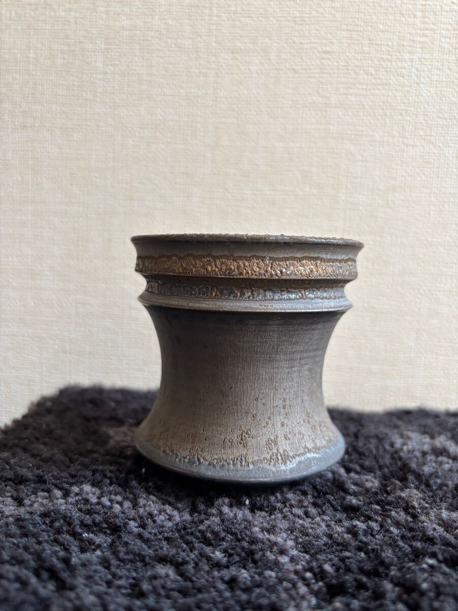 Amazon.co.jp: おまけ付き RAW LIFE FACTORY RLF KING pot 植物