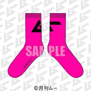 月刊ムー 40周年企画 ネオンコレクション 楽天コレクション C-2賞 ソックス B ピンク ロゴ 未開封新品 非売品 靴下