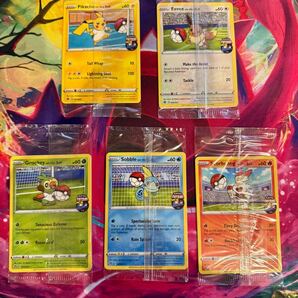 【未開封 5枚セット】ポケモンカード ポケモンフットサル イングランド限定 ピカチュウ イーブイ サルノリ メッソン ヒバニー 英語版