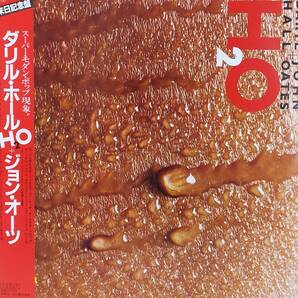 匿名・送料無料! ダリル・ホール&ジョン・オーツ Daryl Hall & John Oates LPレコード「H2O」