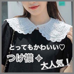 付け襟 刺繍 つけ襟 ホワイト 白 レース フォーマル ドレス ワンピース シャツ コーディネート おしゃれ かわいい 韓国 北欧 シンプル 人気