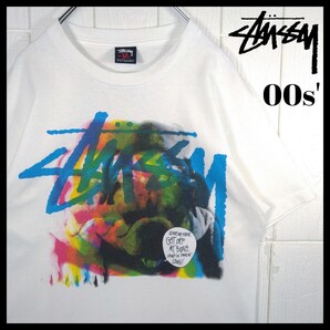 【STUSSY】00s'vintage ブルドッグ犬 カラフルデザイン Tシャツ