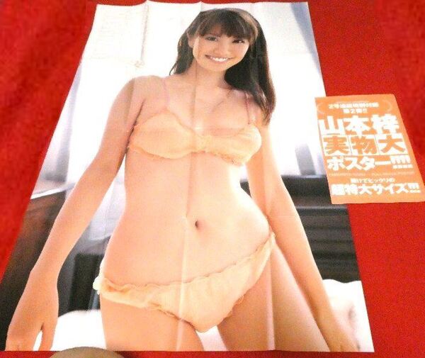 漫画アクション 特別付録 山本梓 実物大ポスター
