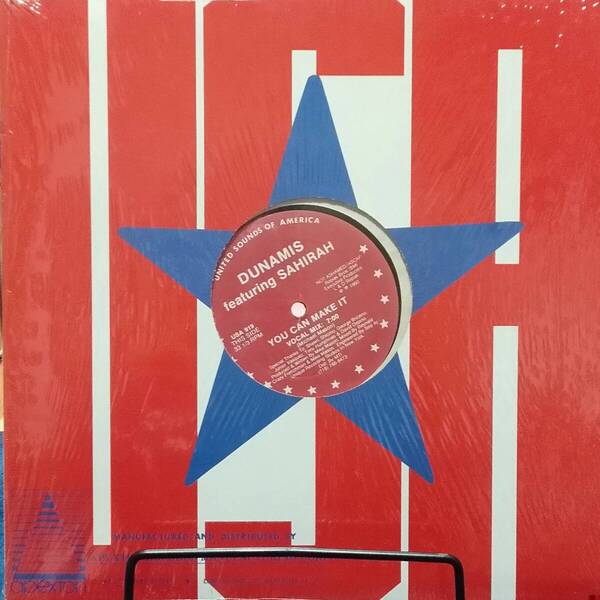 レコード DUNAMIS featuring SAHIRAH YOU CAN MAKE IT USA 919 ダンス ディスコ ハウス クラブ