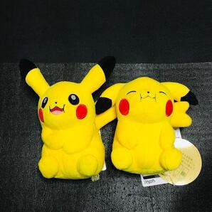 マイピカチュウ ぬいぐるみ マスコット pokemon fit モロゾフ 25周年 ポケモンセンター まんぷく もぐもぐ にこにこ 垂れ耳 メス 腕組み