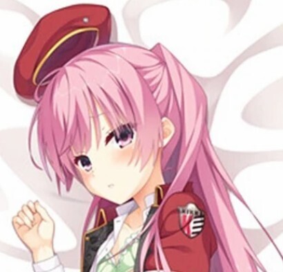 本日限定値下げ中 抱き枕カバー 2wayトリコット 160×50 PCゲーム タペストリー リドルジョーカー ゆずソフトRIDDLE JOKER 三司あやせ