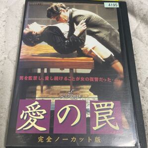 スキャンダル 愛の罠 完全ノーカット版 【字幕】 DVD レンタル版
