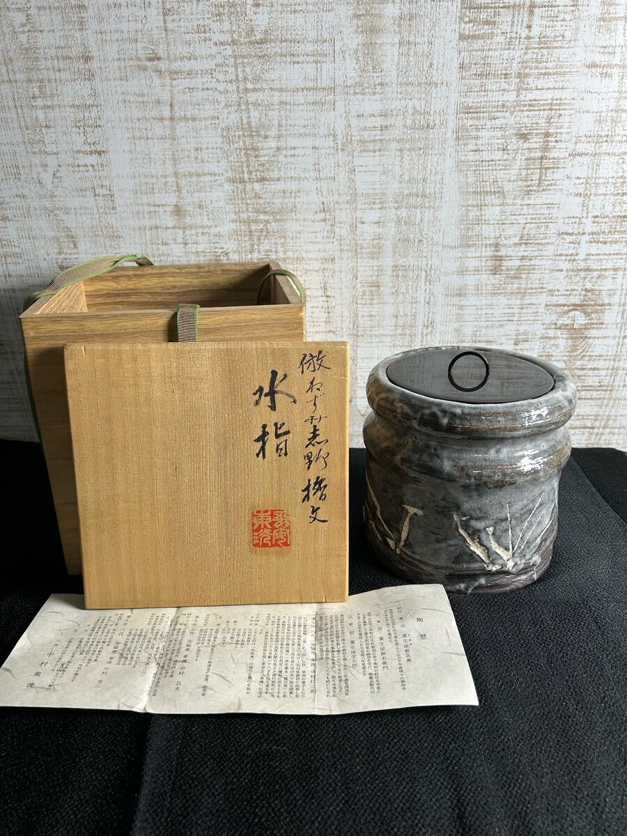 2025年最新】Yahoo!オークション -中村東洸の中古品・新品・未