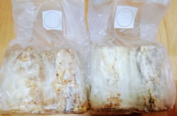 【送料無料】【産卵用】植菌カワラ材 L/Mサイズ 2本 ×2セット(合計4本)