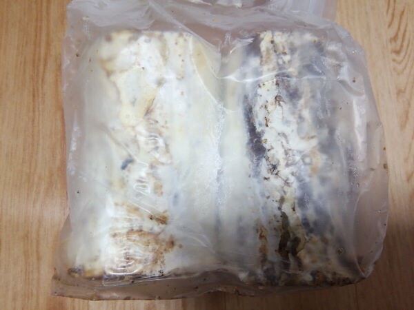 【送料無料】【産卵用】★植菌カワラ材 M/Lサイズ 2本 セットNO5