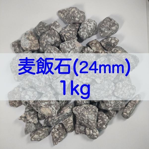 【送料無料】アクアリウム用 麦飯石(24mm) 1kg 水質改善 バクテリア繁殖 メダカ 金魚
