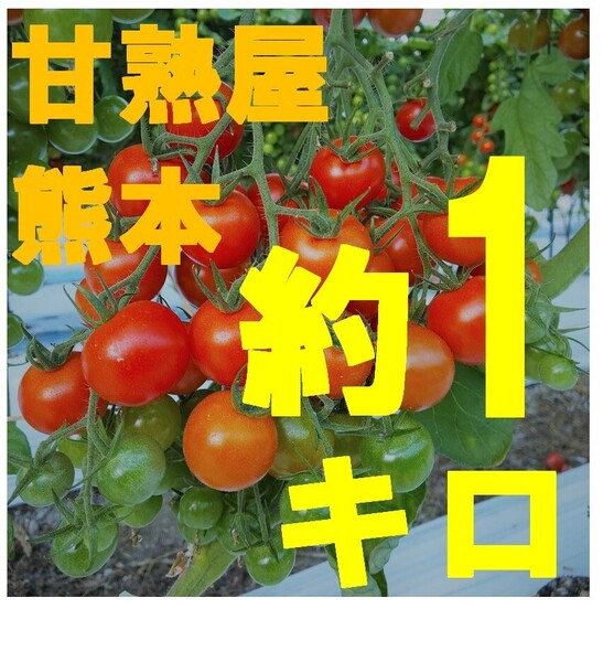 ミニトマト1kg