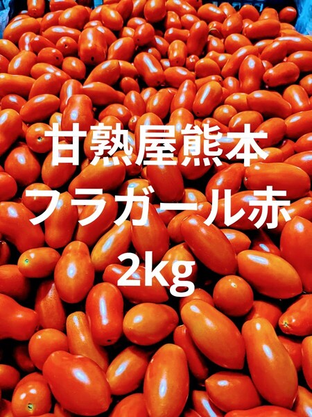 ミニトマト フラガール赤2kg