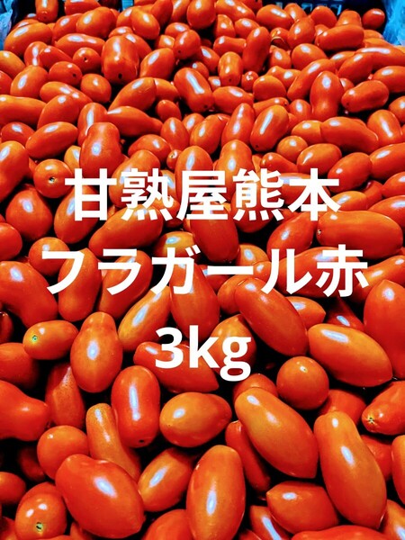 ミニトマト フラガール赤3キロ