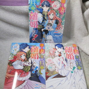 ☆☆☆ 嫌われ妻は、英雄将軍と離婚したい! いきなり帰ってきて溺愛なんて信じません。 1~3巻 コヤマナユ/柊一葉 初版 ☆☆☆