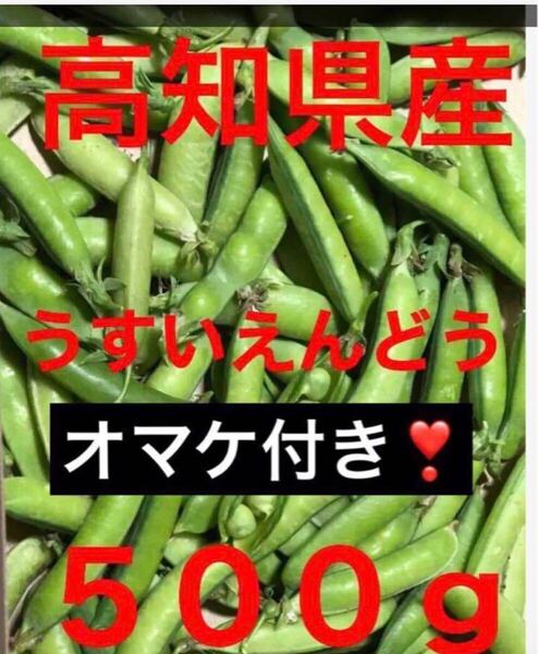 ★☆高知県産 美味しい 鞘付きうすいえんどう豆500g超え 送料無料 (^。^) ☆★