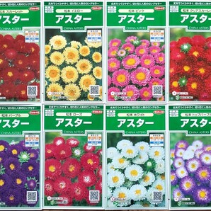 未開封サカタのタネ・アスター種 X8袋