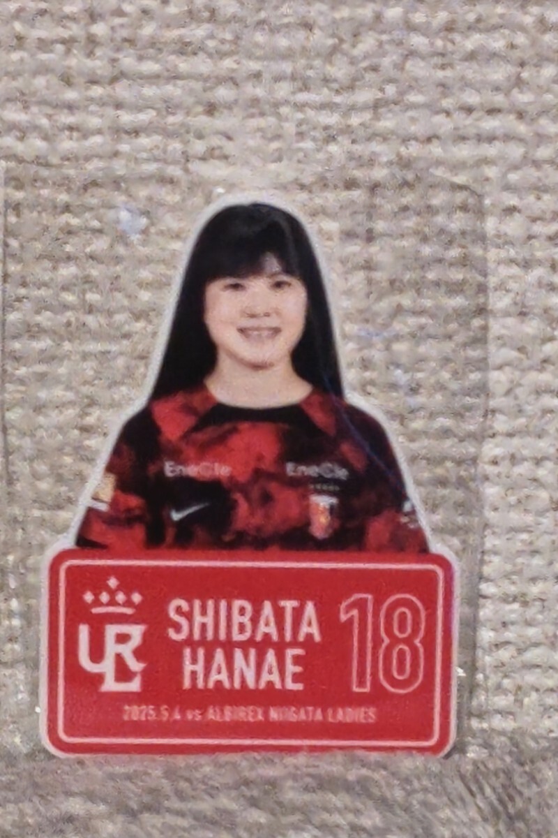 WE INTERVIEW #01】～柴田華絵選手（三菱重工浦和レッズ
