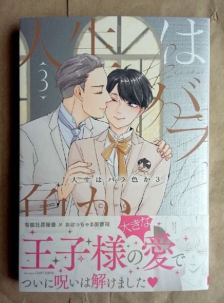 【即決】人生はバラ色か 3巻 山本小鉄子 CRAFT 大洋図書 BL ★ 即決 美品 中古本 LVDBL