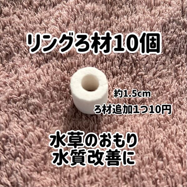 【新品】リングろ材10個
