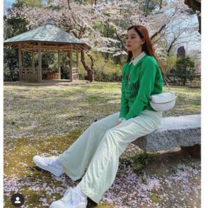 新木優子着用 シアーシャツ エマスライ e/s emma sly light color shirts mint ミント