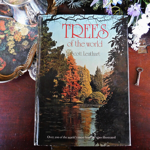 +..。*゜+ 世界の樹木の図鑑 英国 イラスト豊富 ヴィンテージ本 植物図鑑 植物 洋書 アンティーク 画像豊富 ボタニカルアート