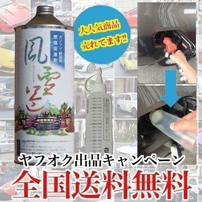 風雷益 燃料添加剤 ガソリン添加剤 ガソリン ディーゼル 車 バイク 燃費向上 自動車 メンテナンス 洗浄効果 燃費向上 燃焼効率アップ 改善