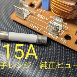 技術サポート可 電子レンジのヒューズ 単体 15A 三菱 パナソニック シャープ 日立 東芝 など 動作保証あり■条件付返品可 RO-ES5 500W