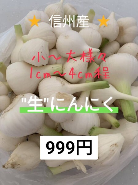 生にんにく 宅急便コンパクト 800g〜900g 長野県産 信州 産地直送