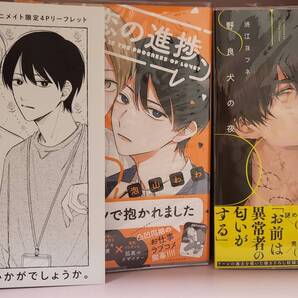 アニメイト特典付き 恋の進捗、いかがでしょうか。 野良犬の夜 2冊 コミック BL漫画 泡山わわ 渋江ヨフネ 商業BL ボーイズラブ マンガ