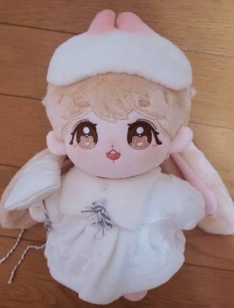 防弾少年団 BTS ジョングク 20cm ぬいぐるみ 着せ替え グク 垂れ耳 マスター マスタニム ぬい活 レア