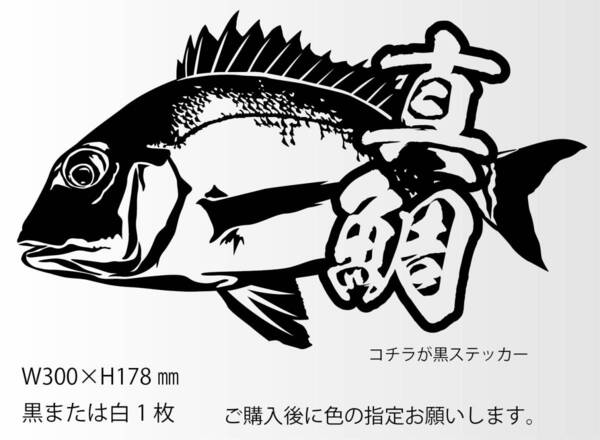 釣りステッカー 「リアル真鯛 漢字バージョン2 300ミリ」カゴ釣り タイラバ 船釣り