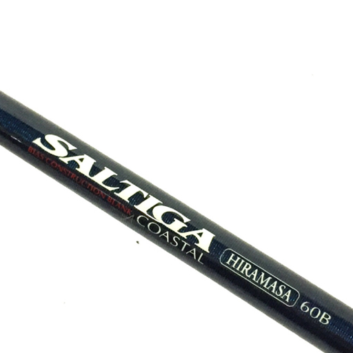 Daiwa Saltiga Coastal Hiramasa 54S – JDM TACKLE HEAVEN
