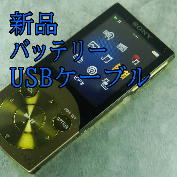 良品 動作良好 SONY ウォークマン NW-S745 16GB バッテリー新品交換 送料無料 0103