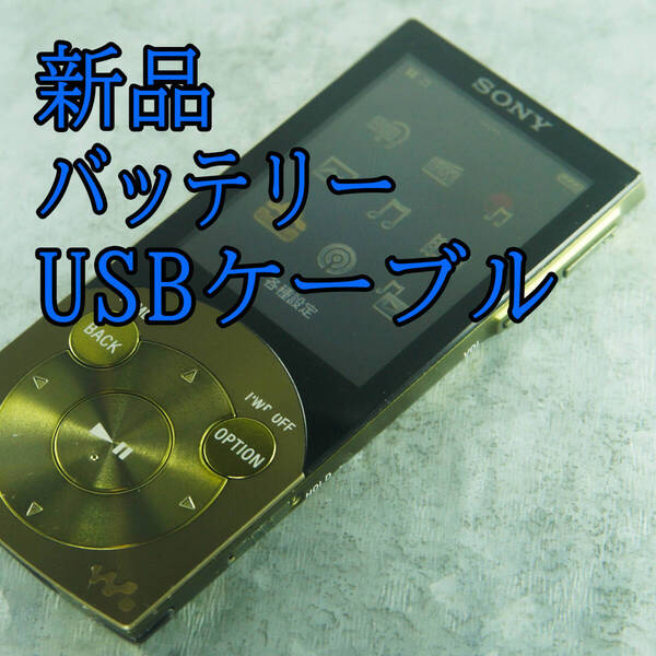 美品 動作良好 SONY ウォークマン NW-S745 16GB バッテリー新品交換 送料無料 1604
