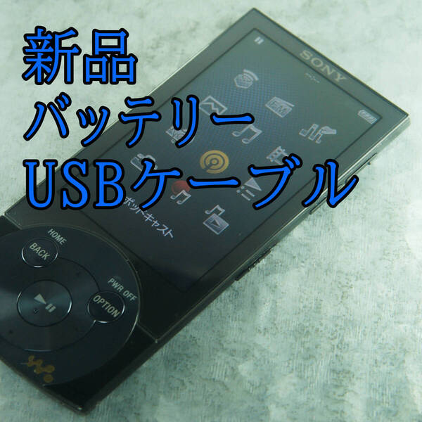 美品 動作良好 SONY ウォークマン NW-A856 32GB バッテリー新品交換 送料無料 1603