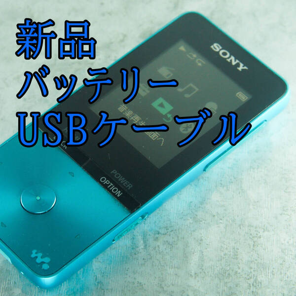 美品 動作良好 SONY ウォークマン NW-S313 4GB Bluetooth バッテリー新品交換 送料無料 2313