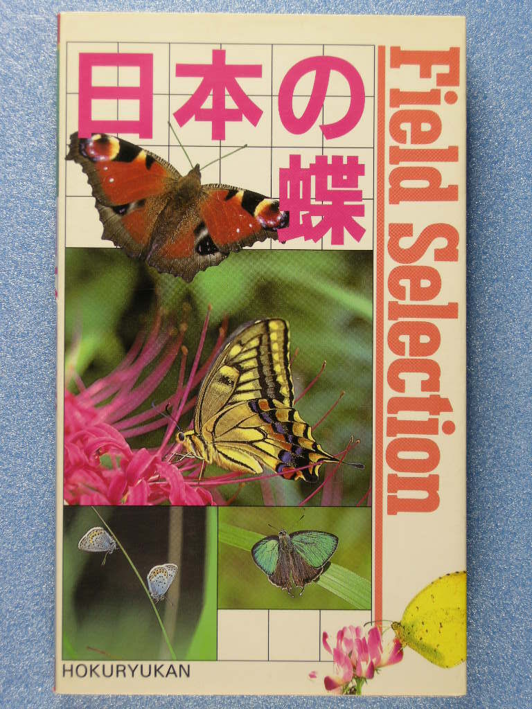 チョウの生物学 | 本田 計一, 加藤 義臣 |本 | 通販 | Amazon