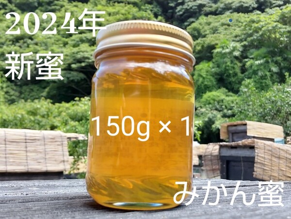 【非加熱、純粋はちみつ】希少蜂蜜 みかん蜜150g