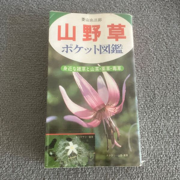山野草 ポケット図鑑 菱山忠三郎 主婦の友社