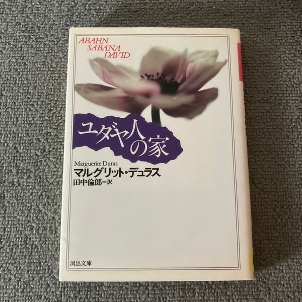 ユダヤ人の家 (河出文庫) M・デュラス/〔著〕 田中倫郎/訳