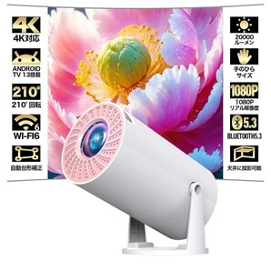 2025年最新Android TV 13.0搭載 20000LM 270°回転