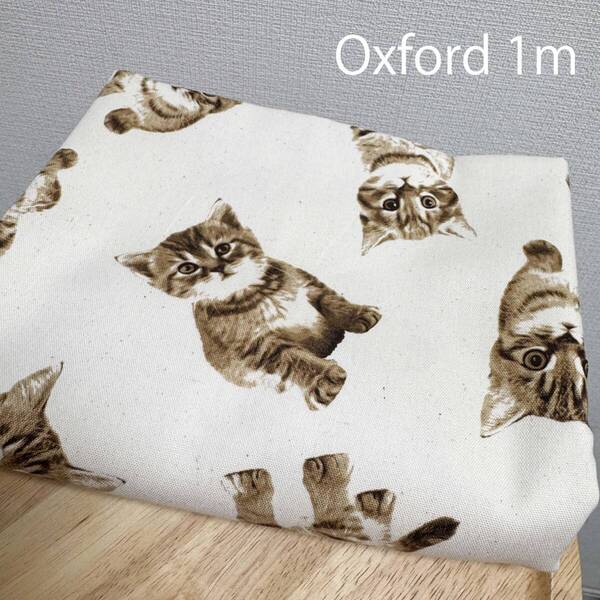 綿オックス1mかわいい猫ねこネコ仔猫こねこ柄はぎれ生地コットン綿ソバカス入り生成