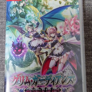 【美品・即決・送料無料】グリム・ガーディアンズ サーヴァント・オブ・ザ・ダーク ニンテンドースイッチ Nintendo Switch
