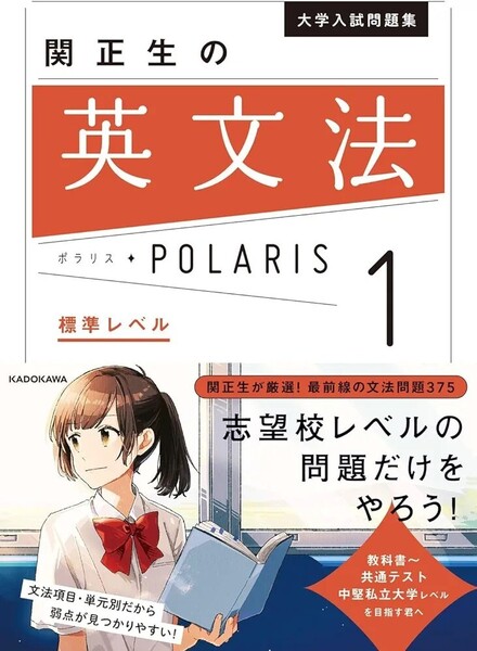 【ラスト 希少 新品 未読品】大学入試問題集 関正生の英文法ポラリス1 標準レベル 関 正生 送料込み